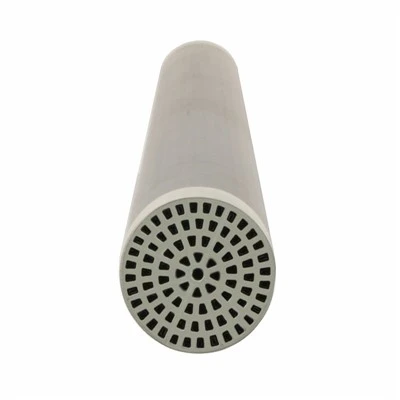 20nm Tubular Membrane